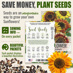 Illustration of Autumn Beauty sunflower seed packet