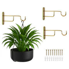 Ilyapa 3 Pack Metal Wall Plant Hangers with rustic brass finish