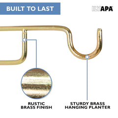 Ilyapa wall plant hanger displaying hanging plants in living room