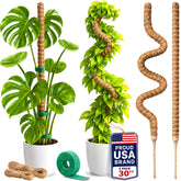 imezos 30-inch moss pole front view with organic coir texture