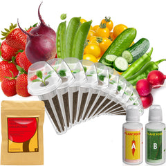 inbloom Fruit Seed Pod Kit 12-pods with accessories
