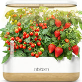 inbloom Hydroponics Growing System 12 Pods front view, elegant white