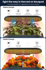 inbloom Hydroponics Growing System Kit showing 12 planting stations