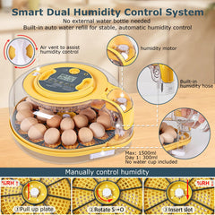 incubator showing temperature and humidity controls
