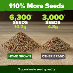 Indoor herb garden setup using HOME GROWN seeds
