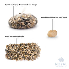 Indoor plants with Royal Imports River Rocks as decorative pebbles