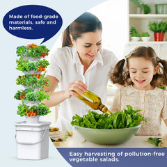 Indoor setup of sjzxuv Hydroponics Growing System with plants