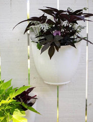Indoor setup of The HC Companies 8 Inch Garden Wall Planter