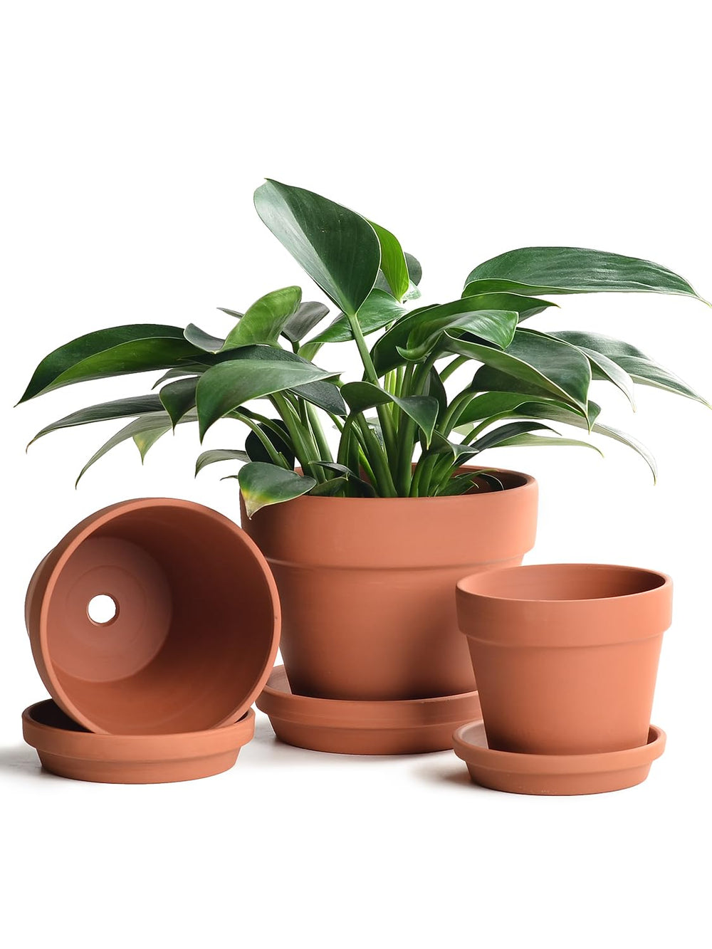 INGOFIN Terracotta Pots Set with Saucer, 5, 6, and 7 inch pots stacked