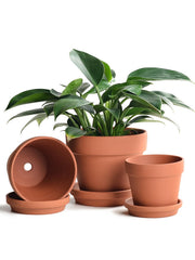 INGOFIN Terracotta Pots Set with Saucer, 5, 6, and 7 inch pots stacked