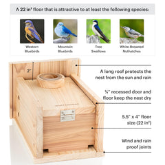 Inside view of the WHITEHORSE Bluebird House with drainage holes
