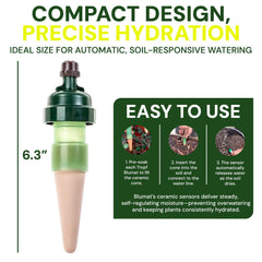 Installation of Blumat Drip Irrigation System in garden