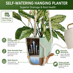 Installation of Bouqlife hanging plants with wall hooks