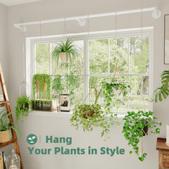 Installation of Galood Plant Hanger on ceiling with plants