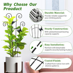 Installation of JJSHUANL plant trellis in a garden
