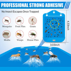 Installation of Qualirey fly trap refill in device