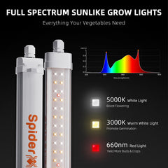 Installation of Spider Farmer Glow30 LED grow lights on a shelf