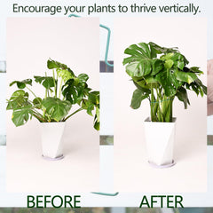 Installation process of Yohsnor plant support stem in garden