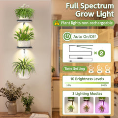 Installed LASZOLA plant hanger showing multiple plants