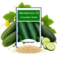 Instant Latch Marketmore 76 Cucumber Seeds package front view