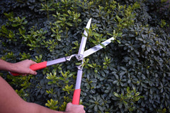 Integrated shock-absorbing bumper on Corona Clipper hedge shears