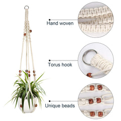 Interior view of Augshy Macrame Plant Hanger holding a plant