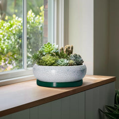 Interior view of EPFamily bonsai pot showing depth