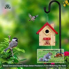 Interior view of SISTERBIRD birdhouse with built-in ladder