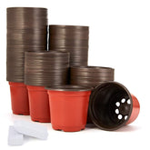 JERIA 200-Pack 4 Inch Clear Nursery Pots stacked together