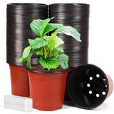 JERIA 200 pack of 6 inch red plastic nursery pots with labels
