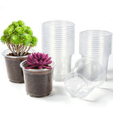 JERIA 30 Pack Clear Nursery Pots 4 inches top view