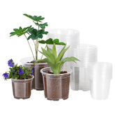 JERIA 30 pack clear nursery pots front view