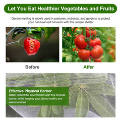 Jevrench Garden Netting in use over vegetable plants