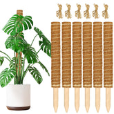 JJGoo 17 inch moss pole with coconut coir for plant support