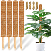 JJGoo Moss Pole 4 Pack with coir totem poles and jute ropes