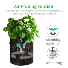 JJGoo potato grow bag showing heavy-duty handles