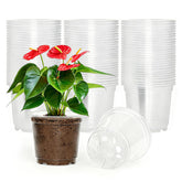 JNYONG 4 Inch Clear Nursery Pots front view