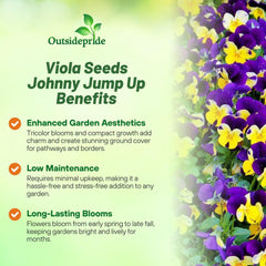 Johnny Jump Up Viola seeds in a garden setting