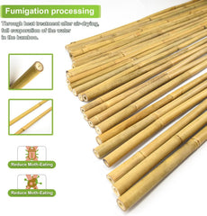 Jollybower bamboo stakes used in a garden trellis