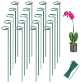 Joyhalo 16 Inch Plant Support Stakes green color front view