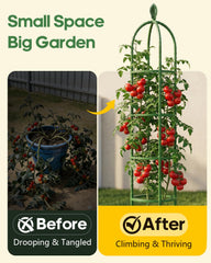 joyhalo garden trellis with decorative tops side view
