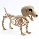 JOYIN 24-inch Wiener Dog Skeleton front view