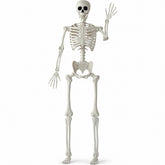 JOYIN 5 FT Halloween Skeleton front view with realistic details