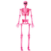 JOYIN 5 FT Pink Skeleton front view with posable joints