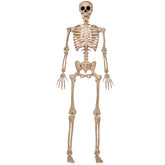 JOYIN Halloween Skeleton 5 FT full body front view with posable joints