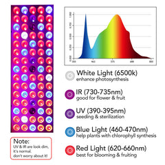 Juhefa LED Grow Light installation with adjustable hanging kit