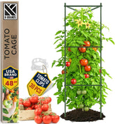 K-Brands 48-inch tomato cage front view