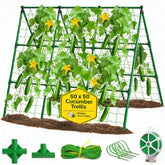 K-Brands 50x50" Cucumber Trellis front view showing A-frame design