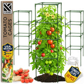 K-Brands 58-inch Square Tomato Cage front view in green