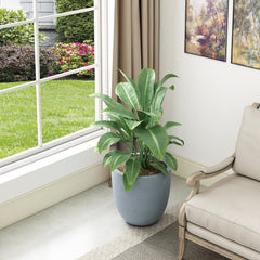 Kante Small Round Bowl Concrete Planter on patio with plants